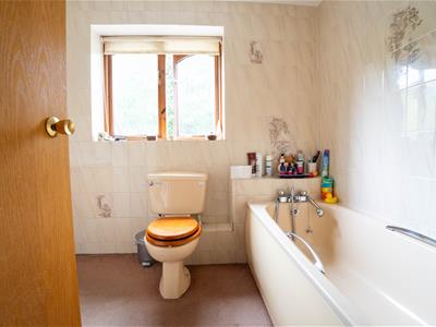 Picture 18